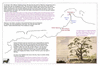 coo1c06 ourea and parkinson_thumb.gif